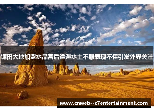 镰田大地加盟水晶宫后遭遇水土不服表现不佳引发外界关注