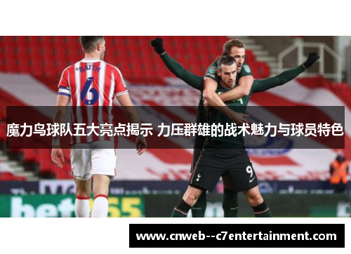 魔力鸟球队五大亮点揭示 力压群雄的战术魅力与球员特色
